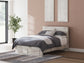 Queen Panel Storage Bed with Mirrored Dresser and Chest