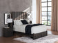 Queen Panel Storage Bed with Mirrored Dresser, Chest and Nightstand