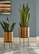 Load image into Gallery viewer, Donisha Planter Set (2/CN)
